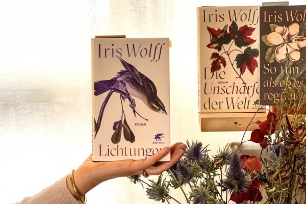 Iris Wolff: Lichtungen