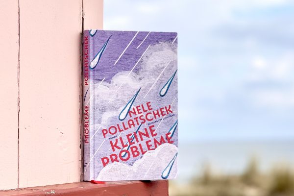 Nele Pollatschek: KLEINE PROBLEME